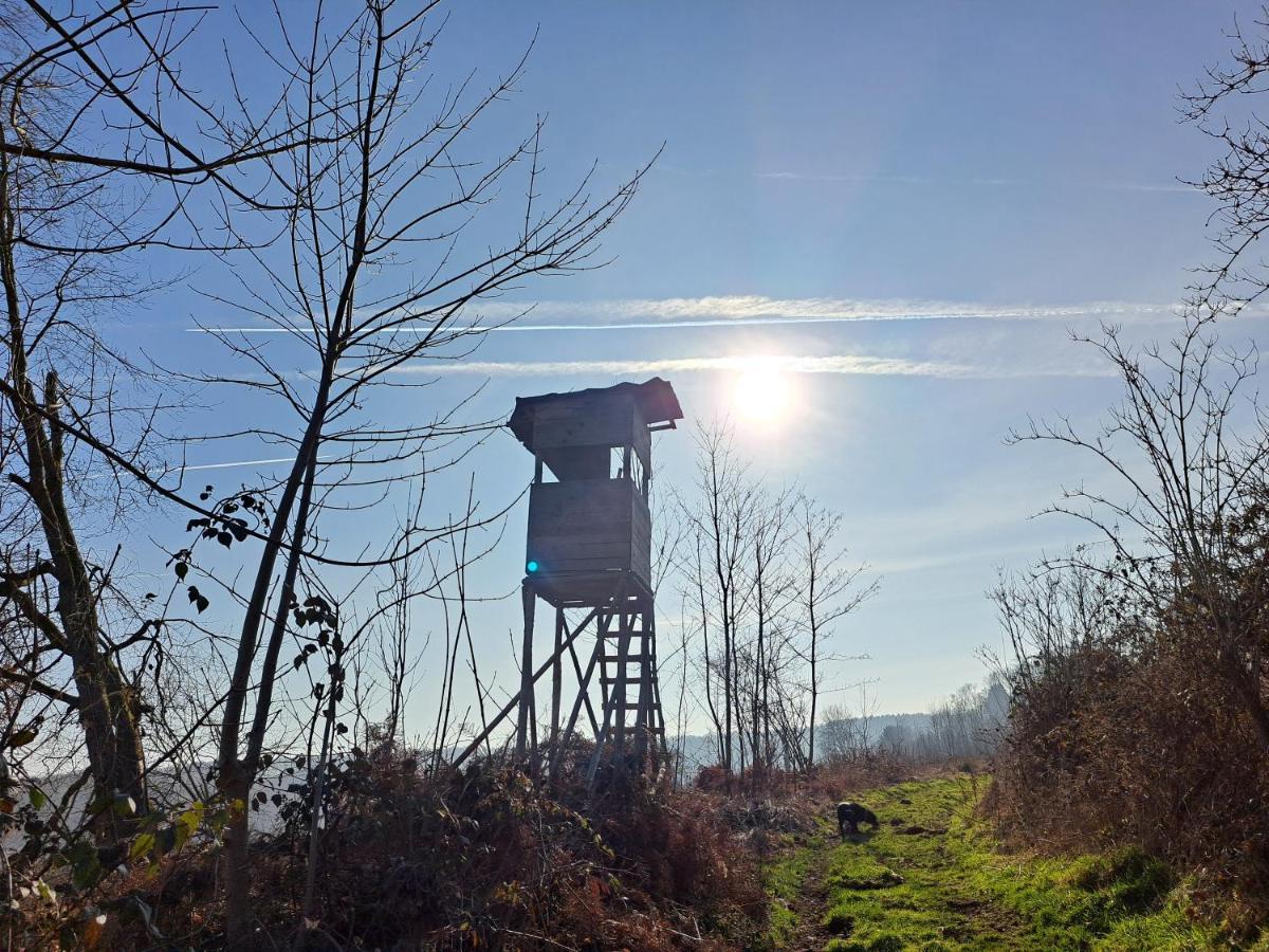 Steewer Landhaus Gemuetliche Ferienwohnung Bis 6 Pers In Ruhiger Ortsrandlage Stebach Kültér fotó