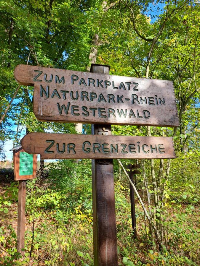 Steewer Landhaus Gemuetliche Ferienwohnung Bis 6 Pers In Ruhiger Ortsrandlage Stebach Kültér fotó