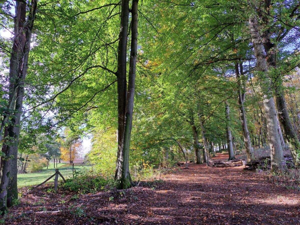 Steewer Landhaus Gemuetliche Ferienwohnung Bis 6 Pers In Ruhiger Ortsrandlage Stebach Kültér fotó