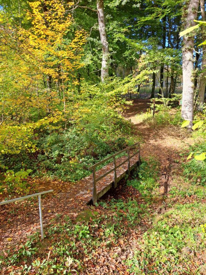 Steewer Landhaus Gemuetliche Ferienwohnung Bis 6 Pers In Ruhiger Ortsrandlage Stebach Kültér fotó